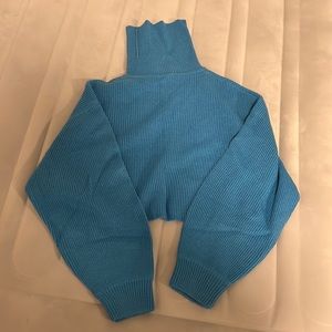 Turquoise cropped turtle neck